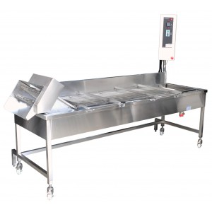 Continuous Belt Line Fryer CF-90W